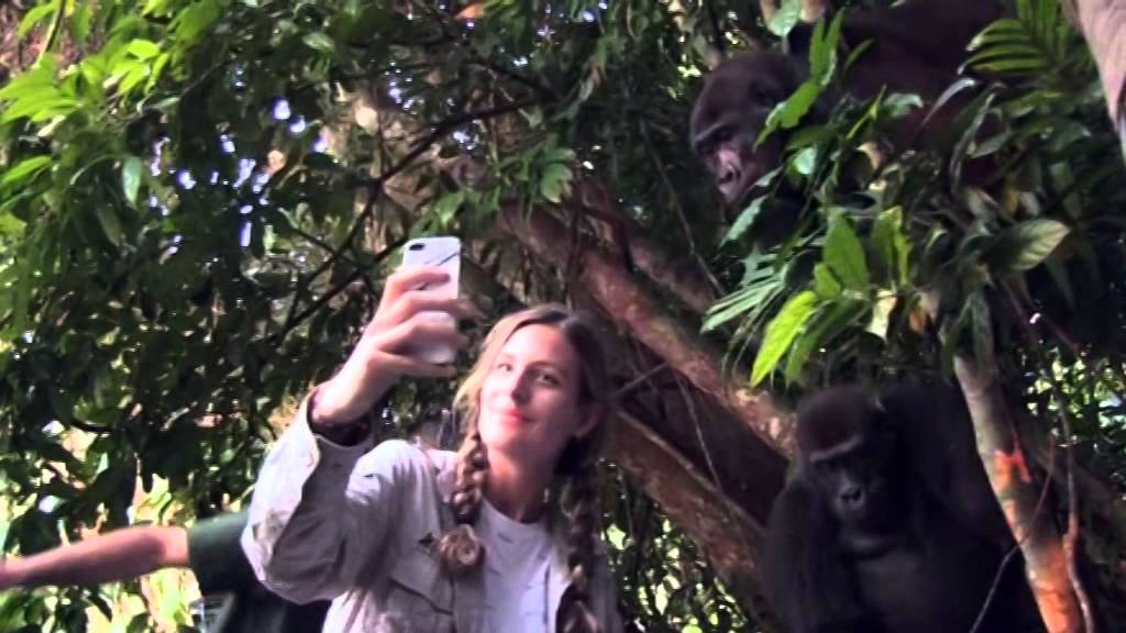 Ona je odrasla sa gorilama… 12 godina kasnije su se ponovo sreli. Ono što je uslijedilo ostavlja bez riječi!
