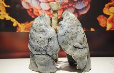 Napitak koji pušačima spašava pluća