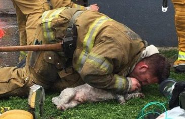 Davao psu disanje USTA NA USTA: Vatrogasac pokazao šta znači prava ljubav prema životinjama (FOTO)