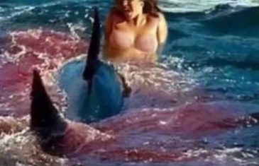 Stravično! Djevojka je probala “vožnju” na kitu ubici kao atrakciju ljetovališta, ali kit je pobijesnio i grizao ju..VIDEO
