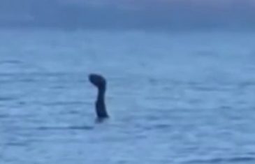 VIDEO: Čudovište iz Loch Nessa snimljeno u Albaniji?