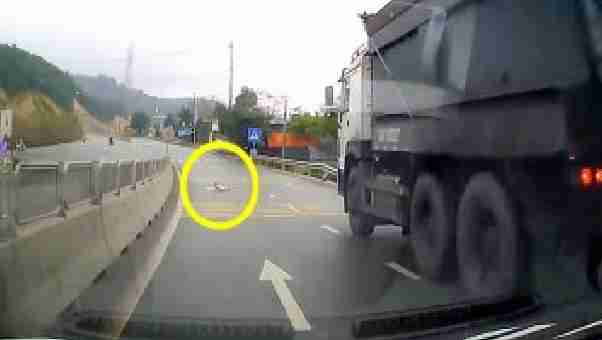 Vozač je primijetio da se nešto kreće na prometnom putu, približio se i ostao u šoku (VIDEO)