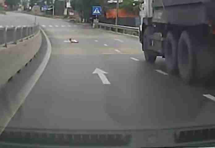 Vozač je primijetio da se nešto kreće na prometnom putu, približio se i … (VIDEO)