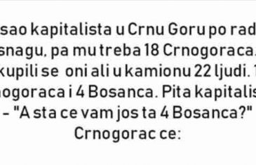 VIC : Dosao kapitalista u Crnu Goru po radnu snagu