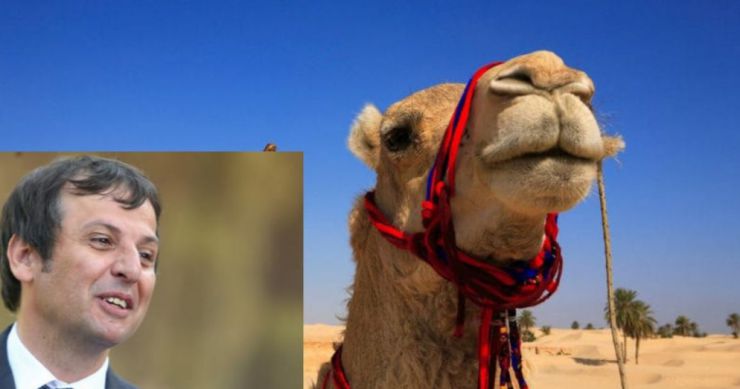 Vukanović iz Katara poručuje: Ne volim da jašem kamile, samo bogate moćnike